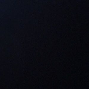 Meet your Posher, Dylan